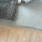 I made CHUNKS toy more stimulating to play with