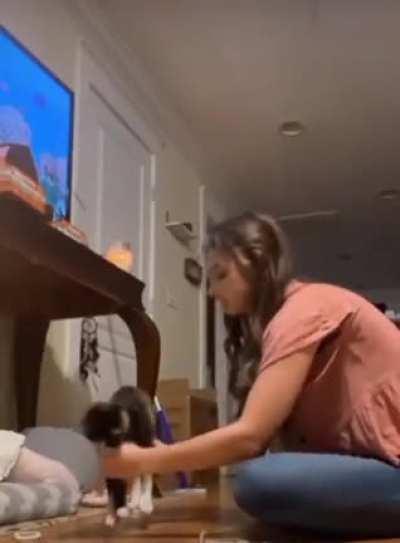 Маленький трюк с любимым котэ ~(^._.)