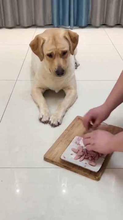 you never seen theft like this before