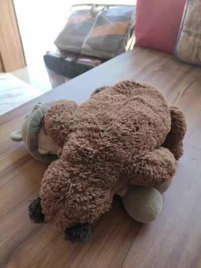 Ye wali story yaad hai