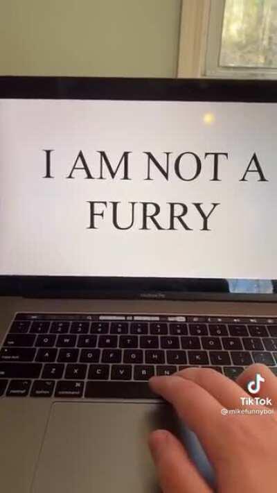Furry_irl