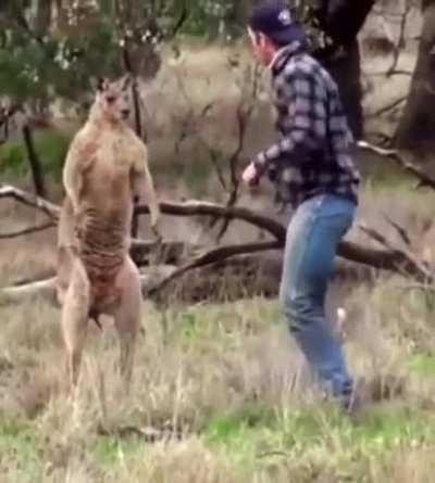 He was ready to square up 😂🤣😭