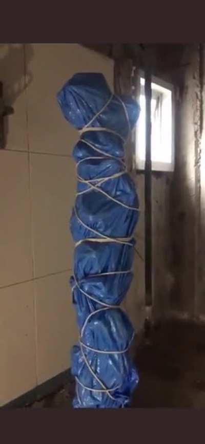 What is this and how do I kill it?