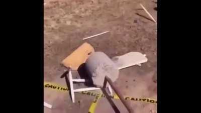 Dry bones 🤤 (#14)