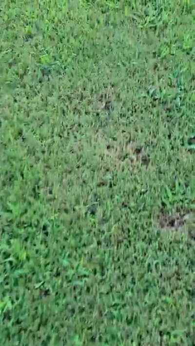 I touched grass at 8:16 p.m.