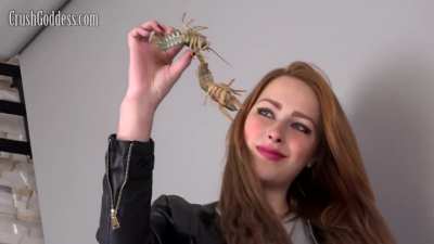 075_Marina Crawdad Crush - Bug Crushed