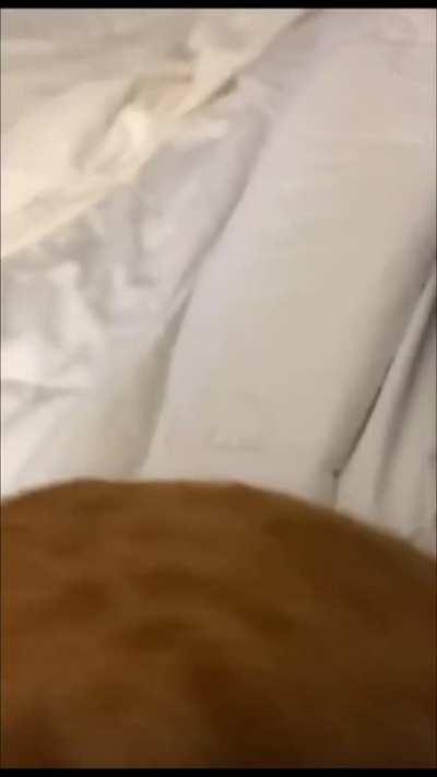 Orange boi won't take no for an answer