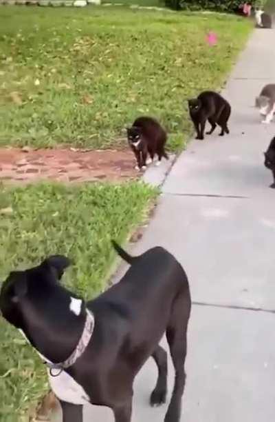 It's hard making friends these days