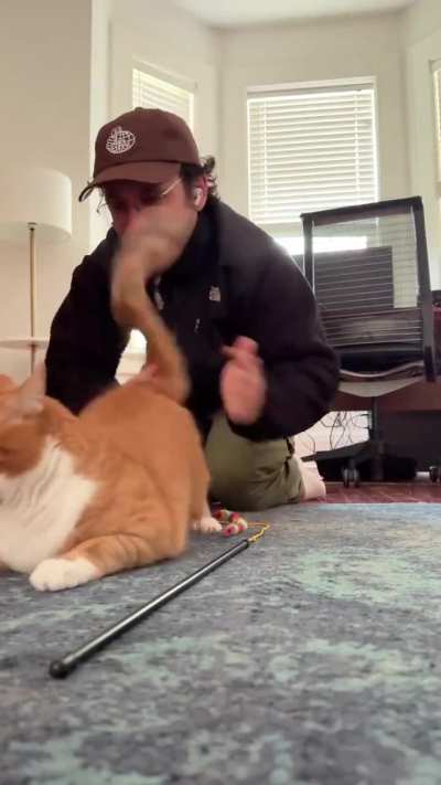 燒杯貓貓之全套馬殺雞