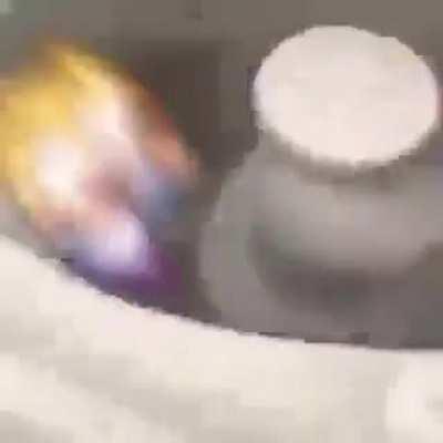 posting a Neco Arc meme every day: bruh that was posting is gone for two days