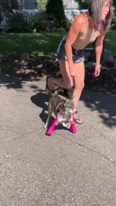 Doggo's First Prosthetics