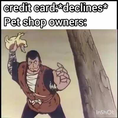 The Fog have left you're safe now