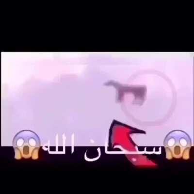 😱‎سبحان الله😱