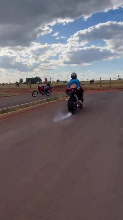 Pop a wheelie wheewww