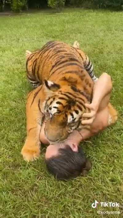 I thought tigers were scary