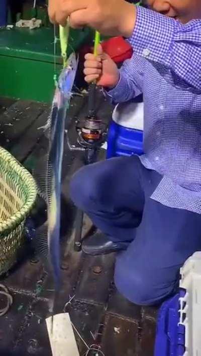 🔥 A cutlassfish 🔥