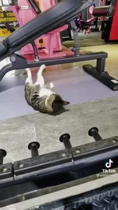 When Max figured out why he was called Max, he went to work in the gym…