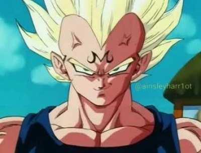 Vegeta heard you're a bitch 