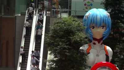 You can (not) ride Rei