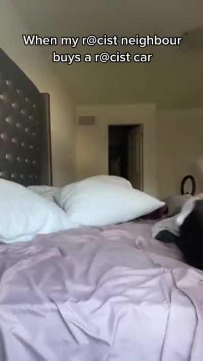 Racist Cars should be illegal