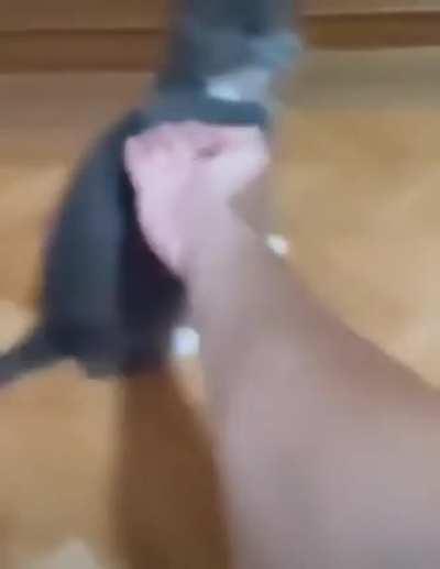 Some pussy tried to fight back