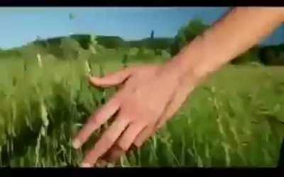 What the community needs to do rn.