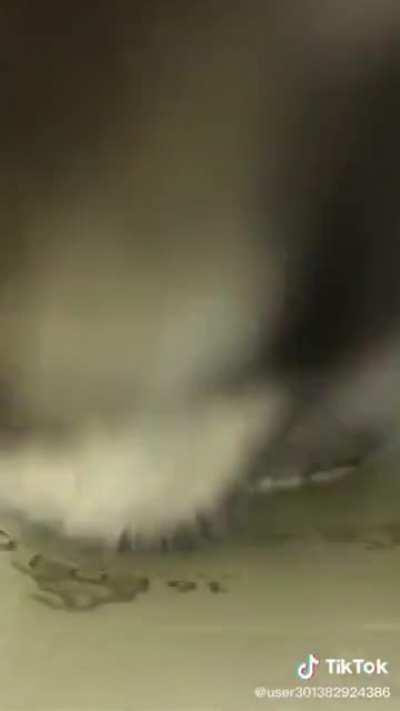 Hiding from the beast