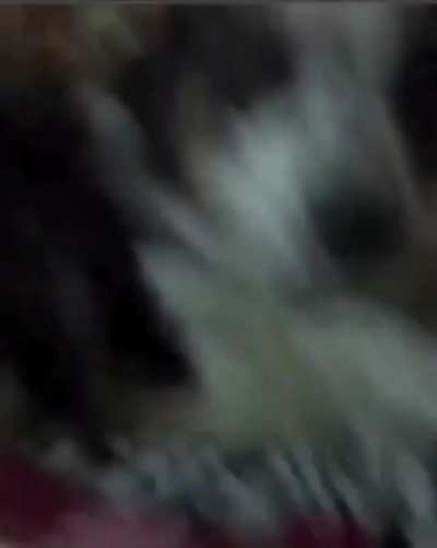 ZKN pyaar ka izhaar Ho raha hai