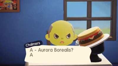 I hope you're ready for mouth watering Hamburgers...