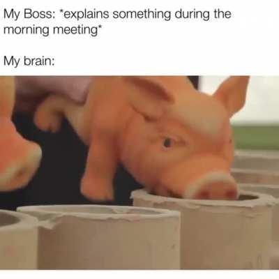 The ever productive morning standup