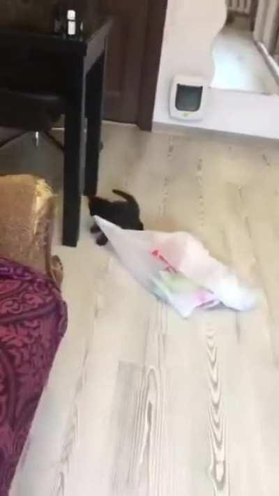 Thought this belonged here