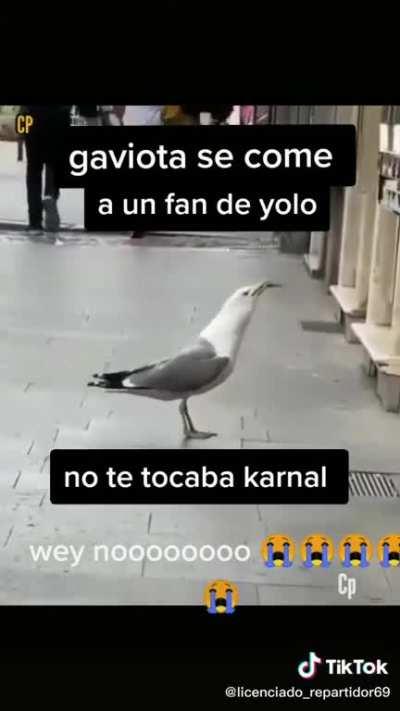 Noooooo😖😖🙏🙏