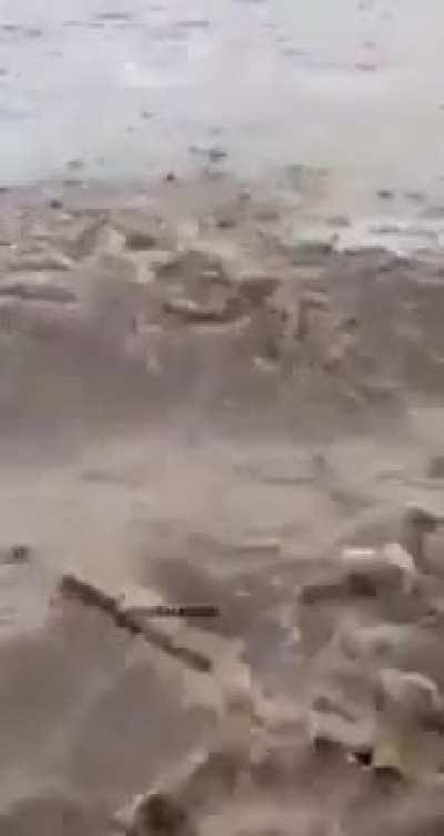 CraZy scIeNtISt ADDS Some weiRd HalLUcInAtINg dRUgS In RiVer