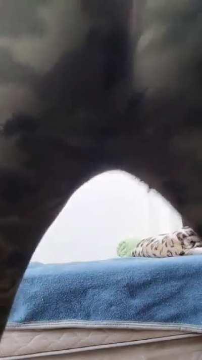 in your face it would be better 🤭​💨​