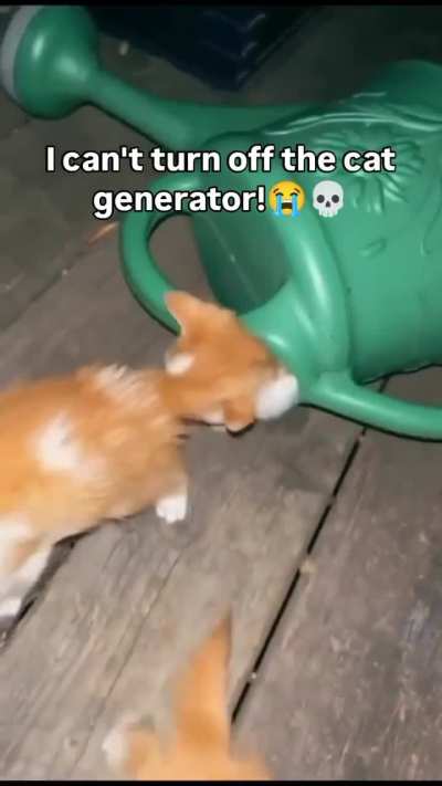 I can't turn off the cat genarator
