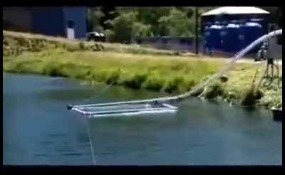 What Fish Really Experience, When Released...