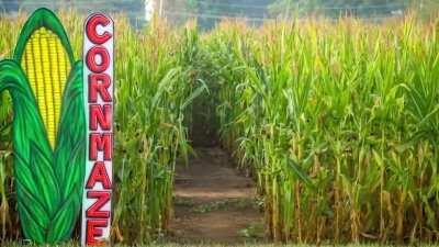 Me when my friend ask me what college i go to