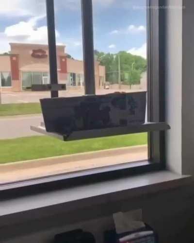 A Little Train That Brings You Food While Maintaining Social Distancing