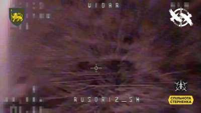 Ukraine War | NMBC Vaporized Russians Compilation IV (From One Day - JUNE 15, 2024)