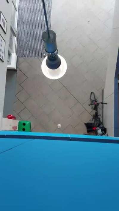 Average guy just being a dude