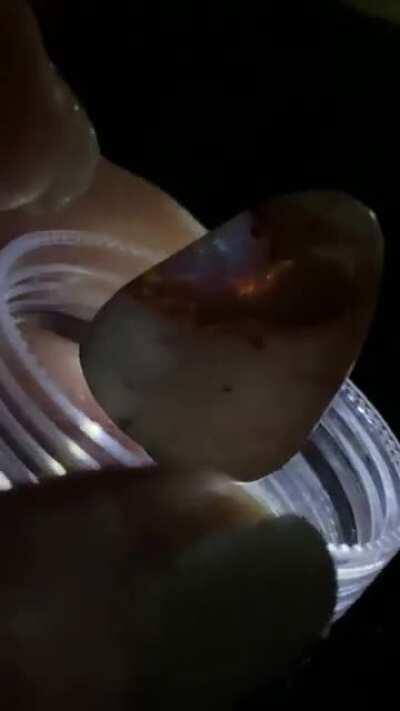 I feel like I'm holding a rainbow! (Mexican Opal)