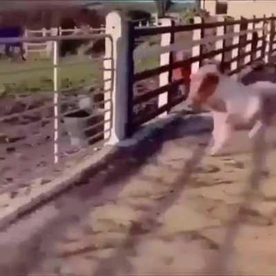 Another fun one I found while looking through chats