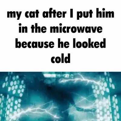 (It’s ok he has 8 more lives left)