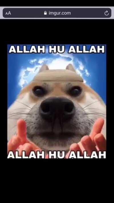 Aunt Cass busty woman halal or haram 😳(special appearance, imam Doge)