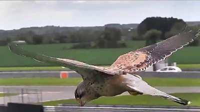 And they want to make us believe this not military-grade technology....