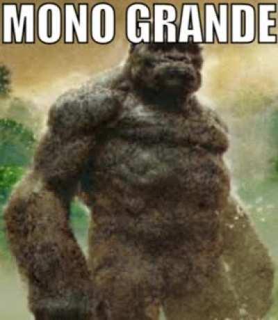 mono grande