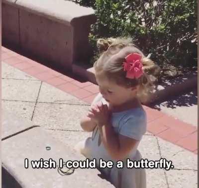 Wishing fountain is broken