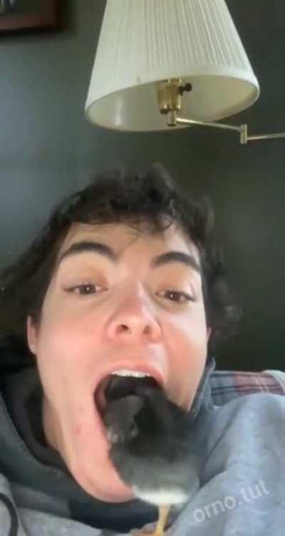 the Old Bird in the Mouth