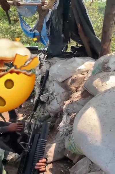 Sicarios of R5 against FEM