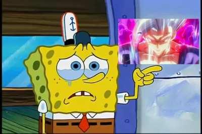 The community in a nutshell